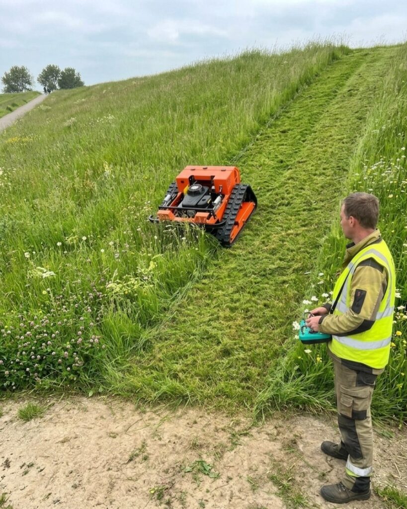 photo 2026 06 23 11 50 50